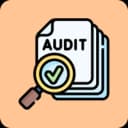 Telecom Audit Software Development