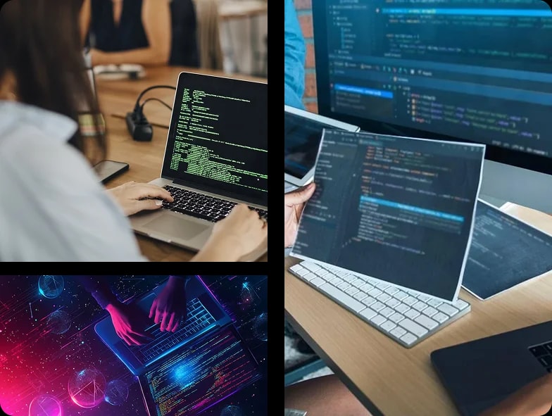 Web Development