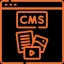 CMS & Platform Migration