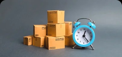 Timely & Budget-Friendly Delivery