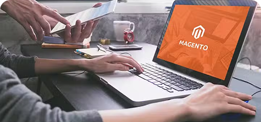 Skilled Magento Experts