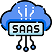 SaaS & Cloud-Based Development