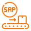 Strategic SAP Consulting