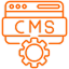 Custom CMS Development