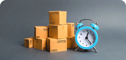 Timely & Budget-Friendly Delivery