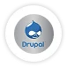 Hire a Custom Drupal Developer