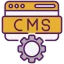 Custom CMS Development