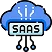 SaaS & Cloud-Based Development