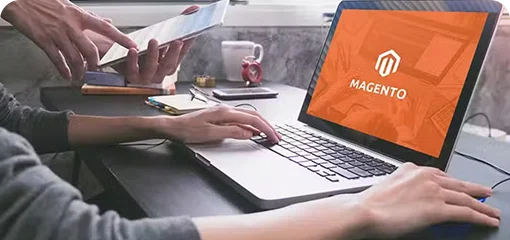 Skilled Magento Experts
