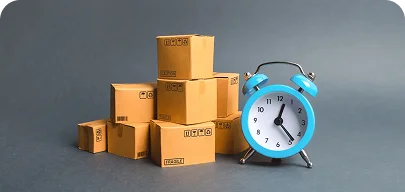 Timely & Budget-Friendly Delivery